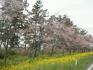 DSCF0285.jpg