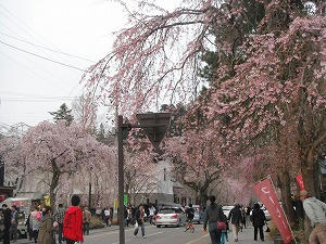 DSCF0316.jpg