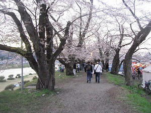 DSCF0319.jpg