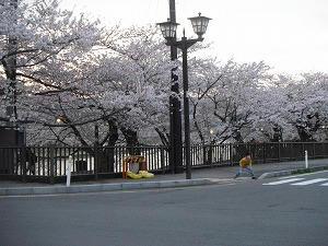 DSCF0324.jpg