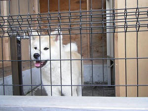 DSCF0769.jpg