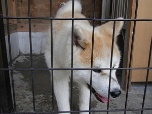 DSCF0771.jpg