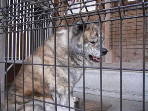 DSCF0776.jpg