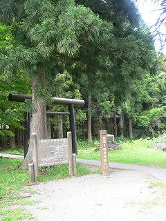 P1050639.jpg
