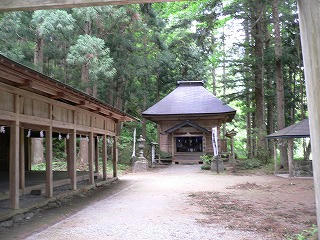 P1050640.jpg