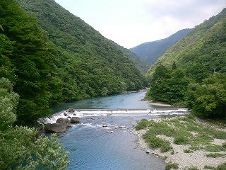 P1050644.jpg