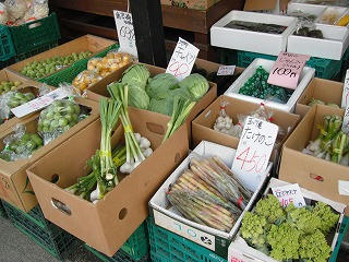 DSCF0802.jpg