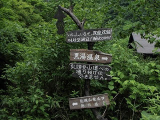 7501a4b9.jpg