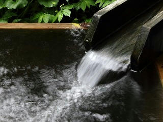 feed9915.jpg