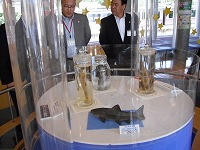 DSCF0916.jpg