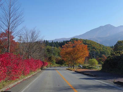 IMGP0339.jpg