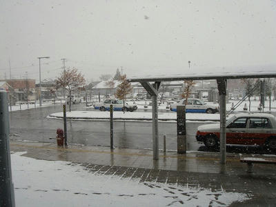 241127-1.jpg