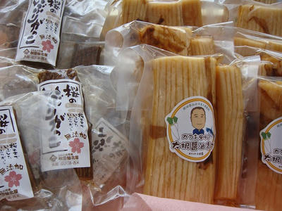 DSC02528.jpg