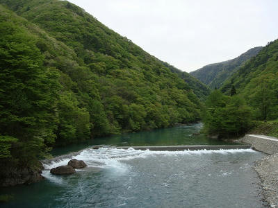 DSC03009.jpg