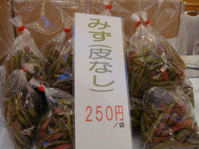 DSC03055.jpg