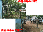 お庭のお手入れ【草刈・草取り・剪定・伐採】＜＜＜ブログ