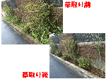 草取り・草抜き