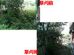 草刈・草取・お庭の手入れの風景