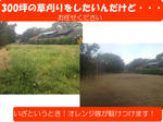 草刈・草取・お庭の手入れの風景