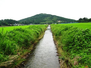 IMG_1469.JPG