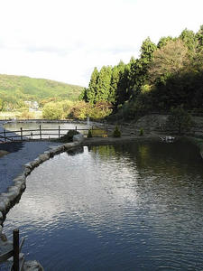 RIMG0022.JPG