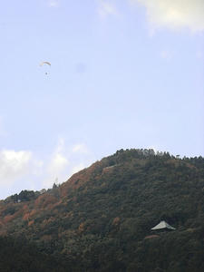 R0010071.JPG