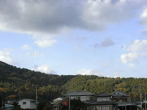 R0010073.JPG