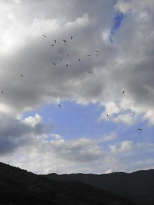 R0010077.JPG