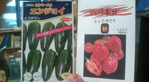 20100407163720.jpg
