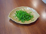 taifuu4.jpg