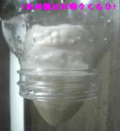 オイオイ