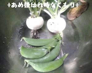 6晩御飯２