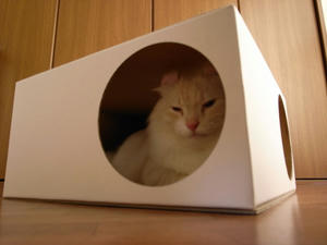 おちつくー