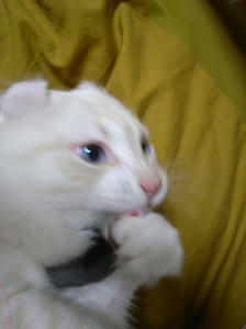 04