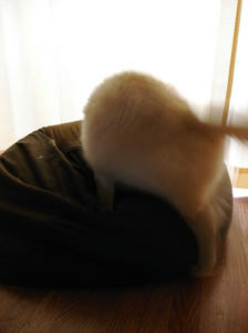 のそり01