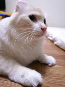 MR01