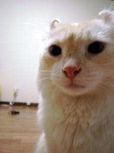 MR06