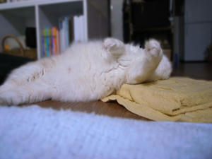s-photo01