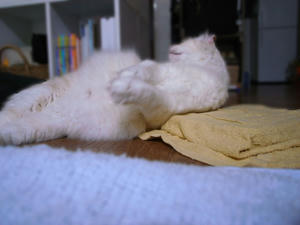 s-photo02