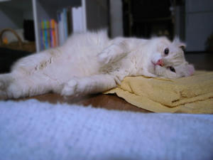 s-photo04