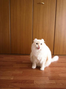 ake