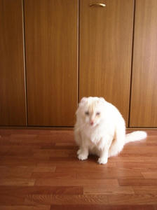 ome