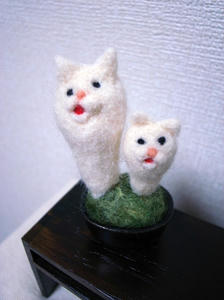 ぼん