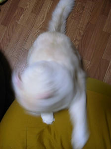 ぶぃ〜〜ん