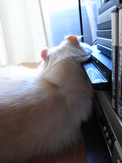ぐっ