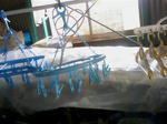 SA3C0199.JPG