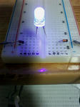 SA3C0224.JPG