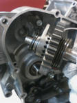 c887adc2.JPG