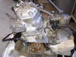 102b19e7.jpg