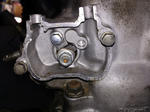 a1091b16.jpg